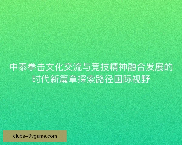 中泰拳击文化交流与竞技精神融合发展的时代新篇章探索路径国际视野